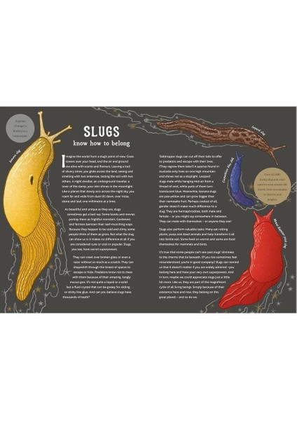 The Hidden Wisdom Of Animals