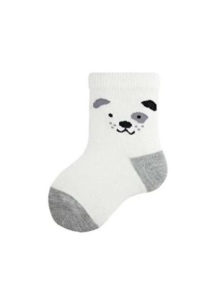 Hayvan Temalı Erkek Bebek Çorabı 3'lü Çok Renkli modelleri