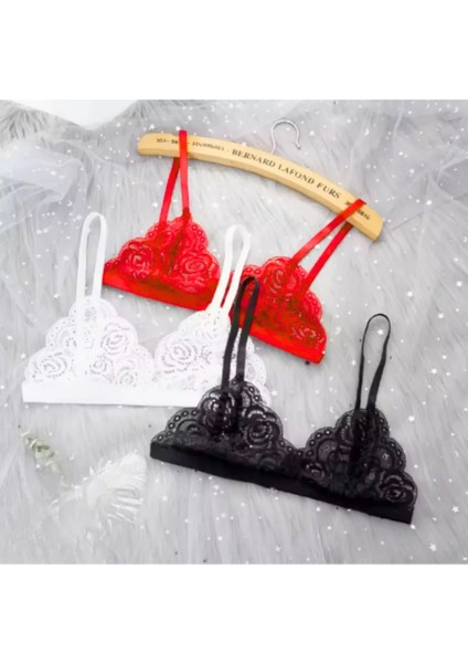 Fantezi 3'lü Seksi Dantel Sütyen Seti fiyatları