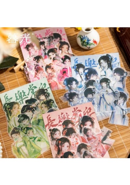 O7-10 Adet Çinli Kız Pet Sticker - Numara : 4