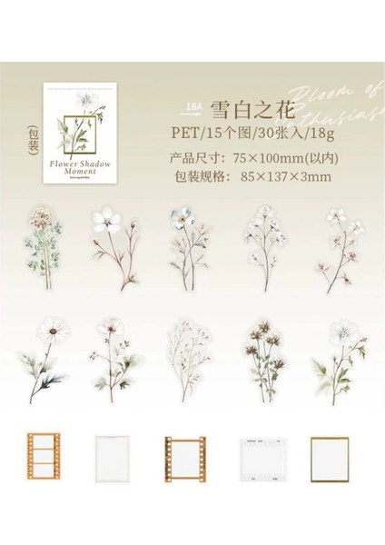 W7-30 Adet Çiçek ve Çerçeve Pet Sticker - Renk : Yesil fiyatları