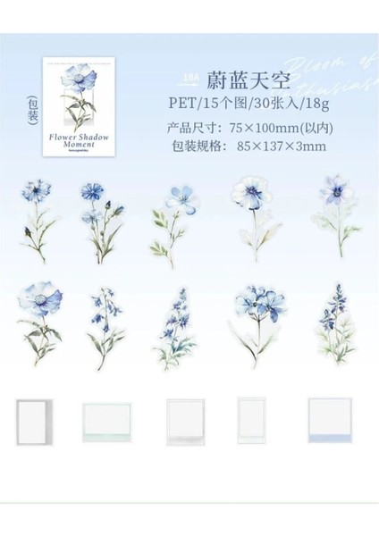 W7-30 Adet Çiçek ve Çerçeve Pet Sticker - Renk : Yesil modelleri