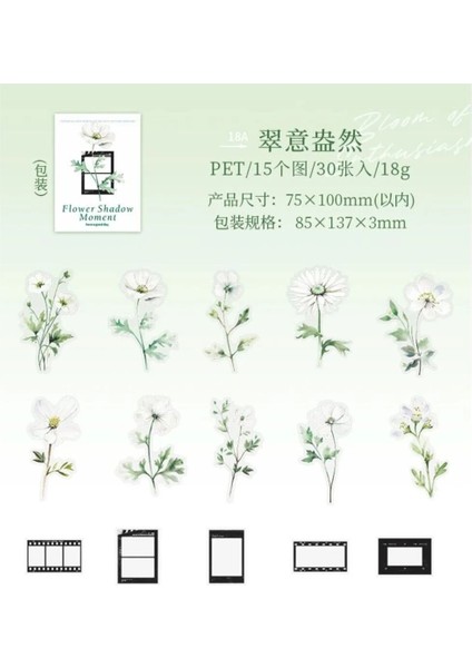 W7-30 Adet Çiçek ve Çerçeve Pet Sticker - Renk : Yesil fırsatları