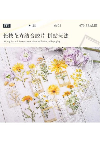 W7-30 Adet Çiçek ve Çerçeve Pet Sticker - Renk : Yesil indirimleri