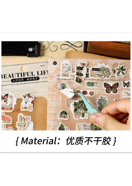 E4-1 Sayfa Kelebek Cicek Sticker - Numara : 4 fiyatları