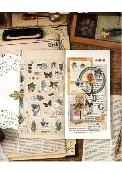 E4-1 Sayfa Kelebek Cicek Sticker - Numara : 4 modelleri