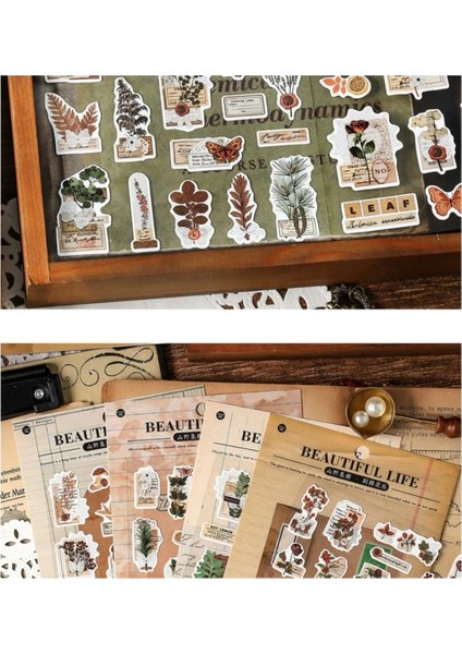 E4-1 Sayfa Kelebek Cicek Sticker - Numara : 4 indirimleri