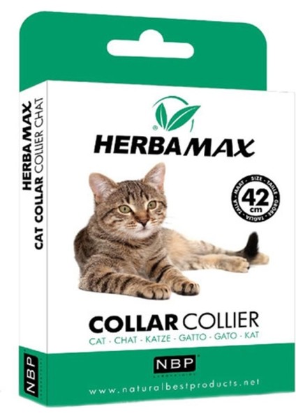 Pire Dış Parazit Kene Tasması - 42 Cm