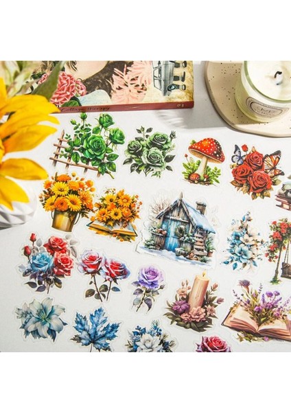 P13-30 Adet Pet Sticker - Numara : 3 fiyatları