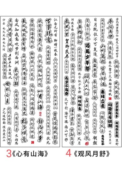 E2-1 Sayfa Çince Yazılar Pet Sticker - Numara : 1 modelleri