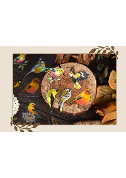 O14-30 Adet Kus Pet Sticker - Renk : Pembe indirimleri