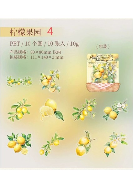 L9-10 Adet Meyve Pet Sticker - Numara : 5 fiyatları