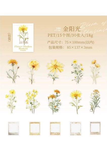 W7-30 Adet Çiçek ve Çerçeve Pet Sticker - Renk : Mor fırsatları