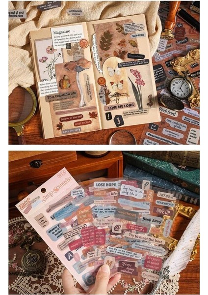 H12-6 Sayfa Kelime Pet Sticker - Numara : 4 indirimleri