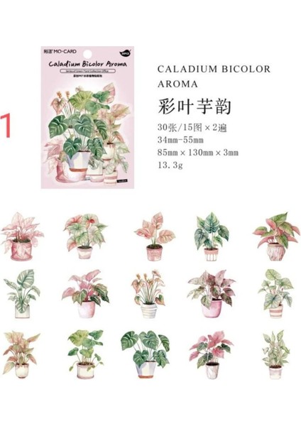 E3-30 Adet Bitki Pet Sticker - Numara : 3 fiyatları