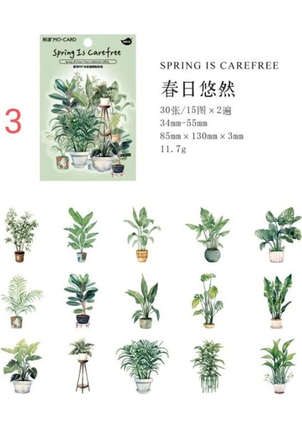 E3-30 Adet Bitki Pet Sticker - Numara : 3 fırsatları