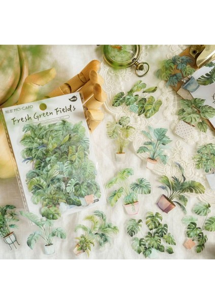 E3-30 Adet Bitki Pet Sticker - Numara : 3 indirimleri