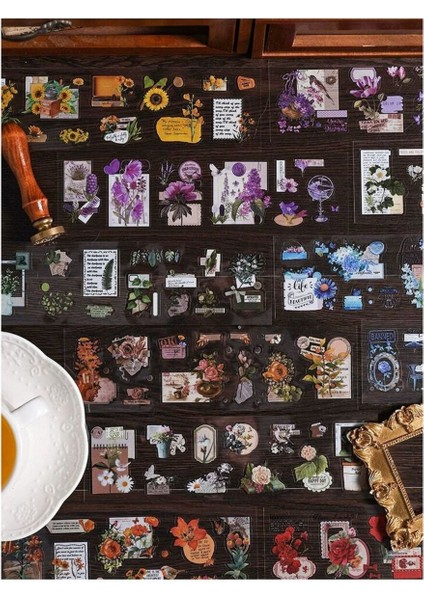 E2-6 Sayfa Pet Sticker - Numara : 1