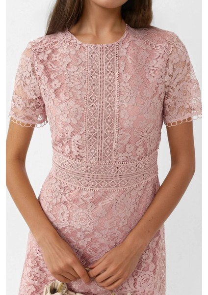 Kadın Dantel A-Line Midi Elbise Parlak Pembe fiyatları