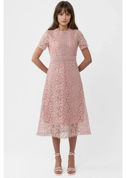 Kadın Dantel A-Line Midi Elbise Parlak Pembe