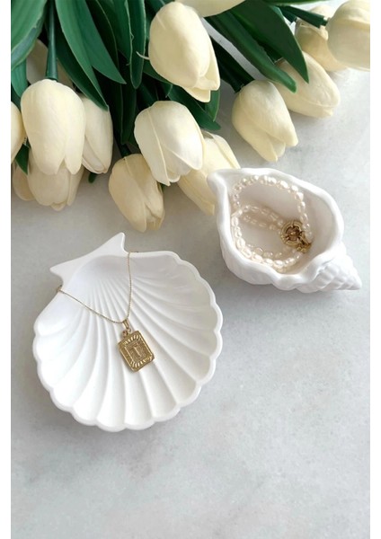 Beyaz Taş Tozu Deniz Kabuğu ve Istiridye Set 2’li