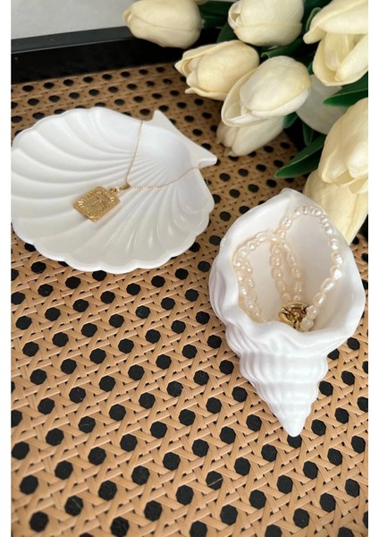 Beyaz Taş Tozu Deniz Kabuğu ve Istiridye Set 2’li fiyatları