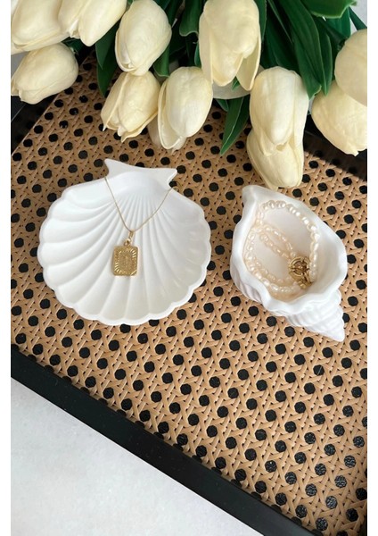 Beyaz Taş Tozu Deniz Kabuğu ve Istiridye Set 2’li modelleri