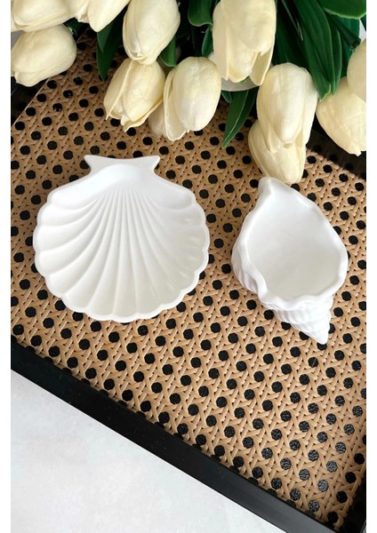 Beyaz Taş Tozu Deniz Kabuğu ve Istiridye Set 2’li fırsatları