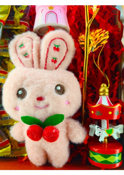 Şekerleme Hediye Kutusu Tavşan Peluş Gül Kar Küresi ve Atlı Karınca Kalp Kutu Hediye fırsatları