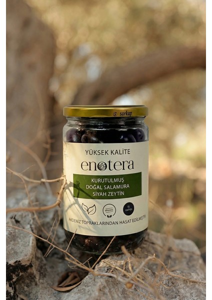 Kurutulmuş Doğal Salamura Siyah Zeytin 660 ml
