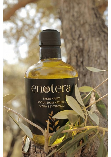 Erken Hasat Soğuk Sıkım Naturel Sızma Zeytinyağ