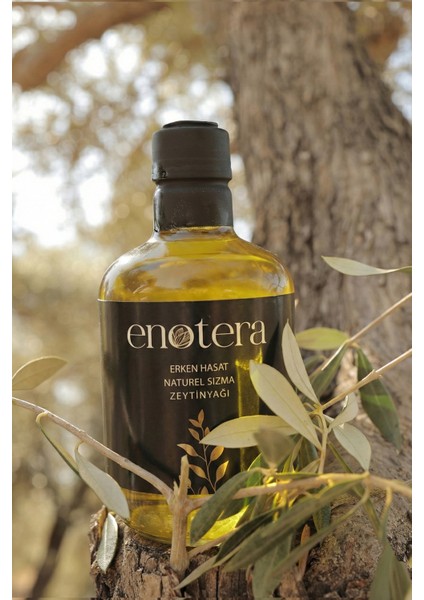 Erken Hasat Naturel Sızma Zeytinyağı