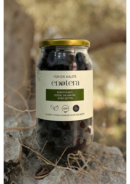 Kurutulmuş Doğal Salamura Siyah Zeytin 1000GR