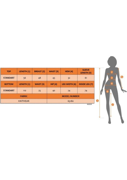 Kadın Uzun Kollu Yuvarlak Yaka Transparan Detaylı Triko Bluz ve Pantolon Ikili Takım fırsatları