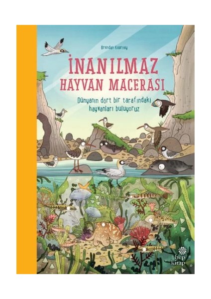 Inanılmaz Hayvan Macerası (Ciltli)