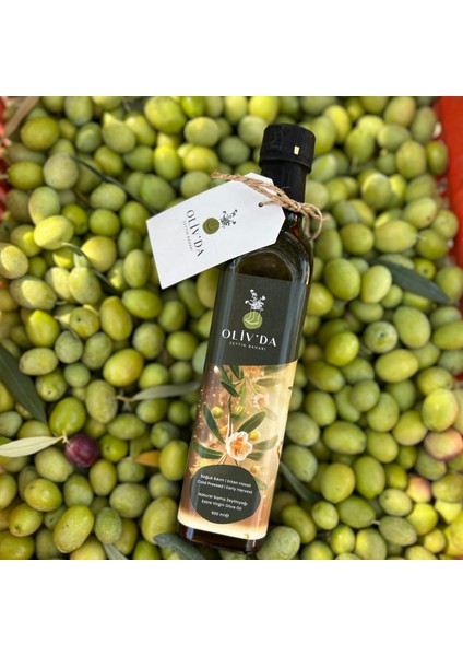 Erken Hasat Soğuk Sıkım Natürel Sızma Zeytinyağı 500 ml modelleri