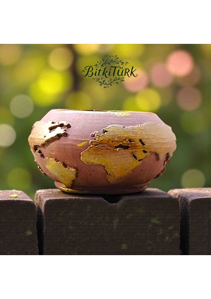 Dünya Formlu Beton Saksı Bonsai&çiçek&sukulent&kaktüs