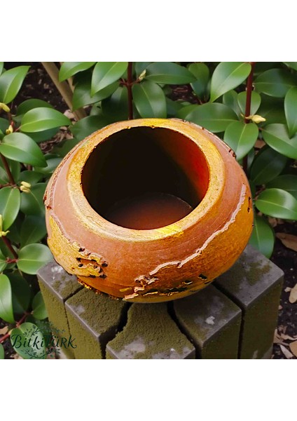 Dünya Formlu Beton Saksı Bonsai&çiçek&sukulent&kaktüs fiyatları