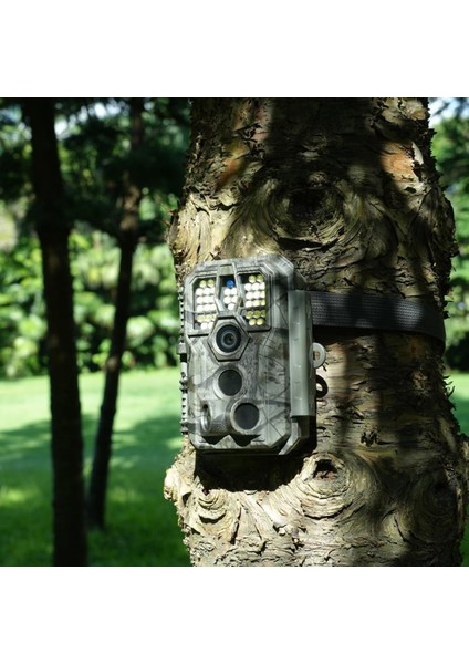 A5WF 4K Beyaz Flaşlı Fotokapan Sony Sensör