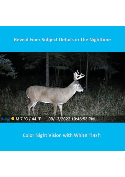 A5WF 4K Beyaz Flaşlı Fotokapan Sony Sensör