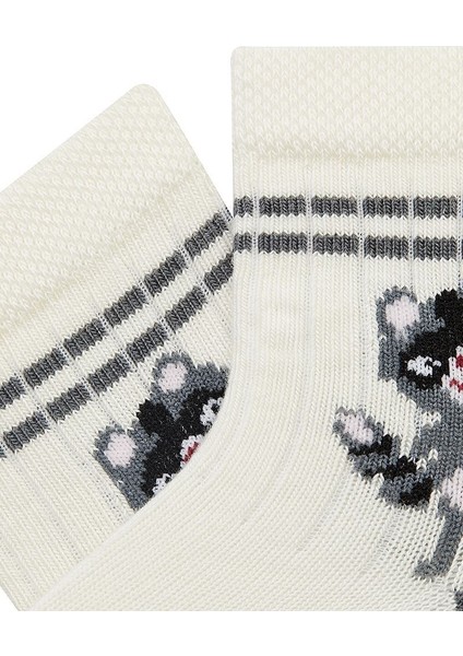 6'lı Hayvan Desenli Erkek Bebek Çorabı