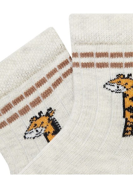 6'lı Hayvan Desenli Erkek Bebek Çorabı fiyatları