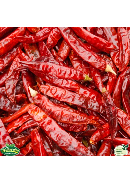 Acı Atom Biber 1 kg