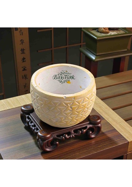 Antik Roma Beton Saksı 13CM×13CM Bonsai&çiçek&sukulent&kaktüs fiyatları