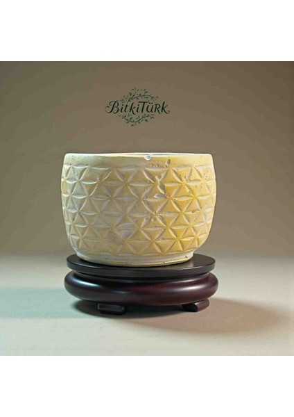 Antik Roma Beton Saksı 13CM×13CM Bonsai&çiçek&sukulent&kaktüs modelleri