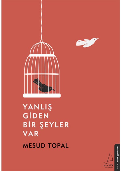 Yanlış Giden Bir Şeyler Var