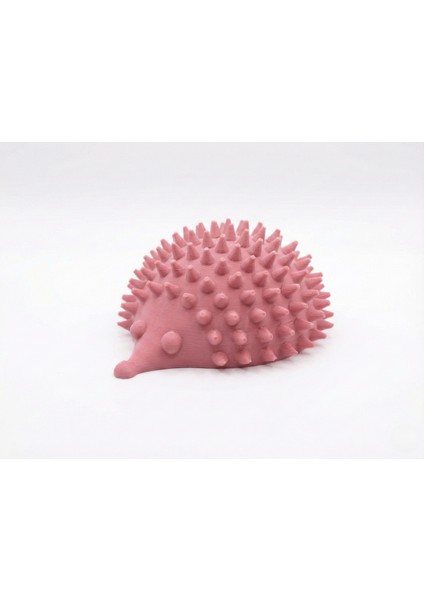 Sevimli Kirpi Tasarımlı Duvar Tipi Kedi Kaşıma Tarağı ve Masaj Aleti - Tüy Toplayıcı Kedi Köşe Kaşıyıcı (Self Groomer) fiyatları