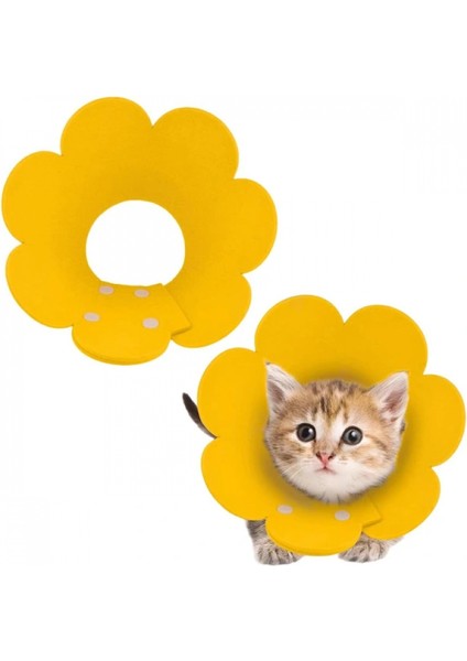 Evcil Hayvan S Boy Keçe Elizabeth Yakalığı