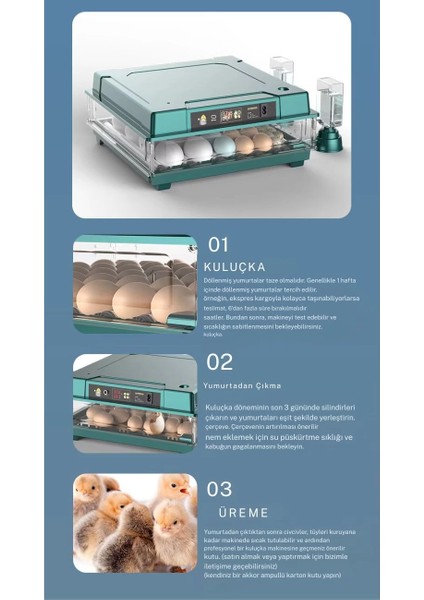 Slim Model 130 Yumurtalık Tam Otomatik Kuluçka Makinesi Gün Sayaçlı Yedek Motorlu ( Lisinya )