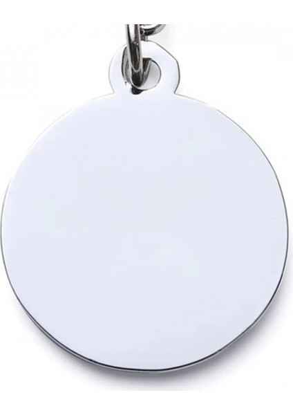 Evcil Hayvan Klipsli Tasma Künyesi modelleri